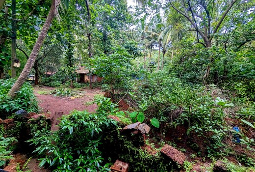 Sunshine in Palolem, Canacona By Yara Yara's