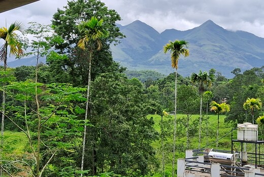 Homely Homestay