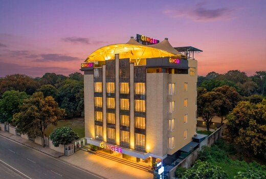 Ginger Indore Nipania