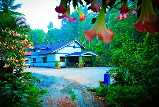 Greenpalaces Homestay