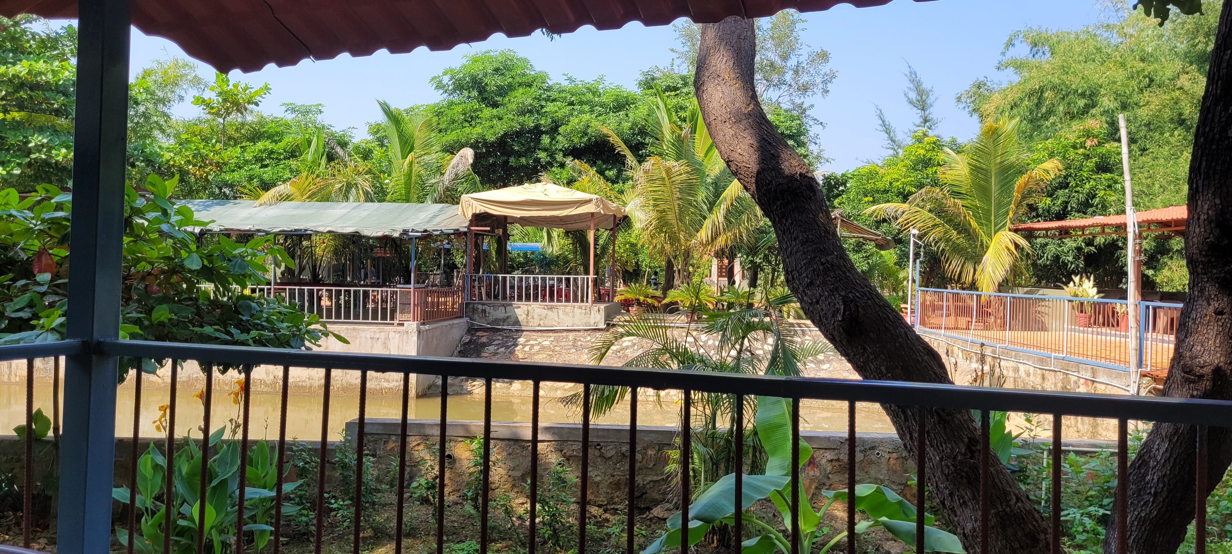 Maharana Resort
