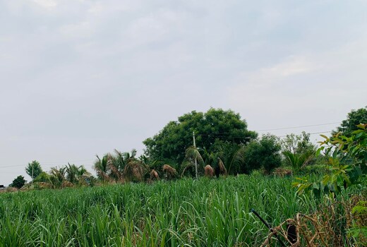 Shainaz gardan and farms