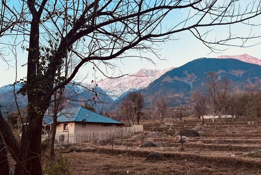 Pala Dharamshala - Mountain Cottage