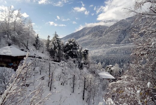 North Himalayan Homestay Manali