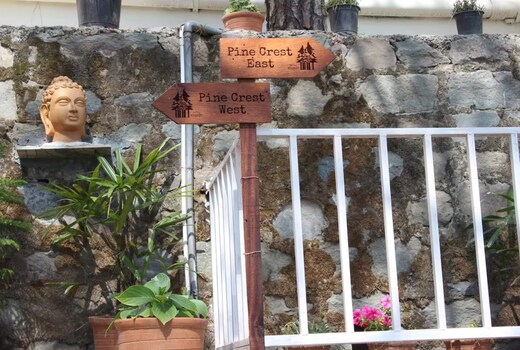 Pine Crest East West Family Escape Kasauli