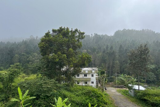 Hummingbirds Inn