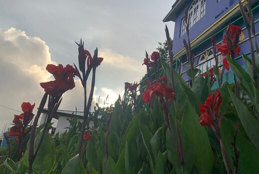 Ice Land Homestay - Zuluk