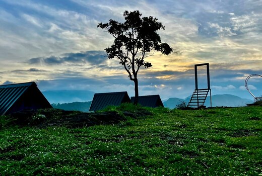 Camp Lights Munnar