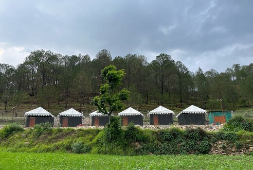 Golden Field Camping Zone