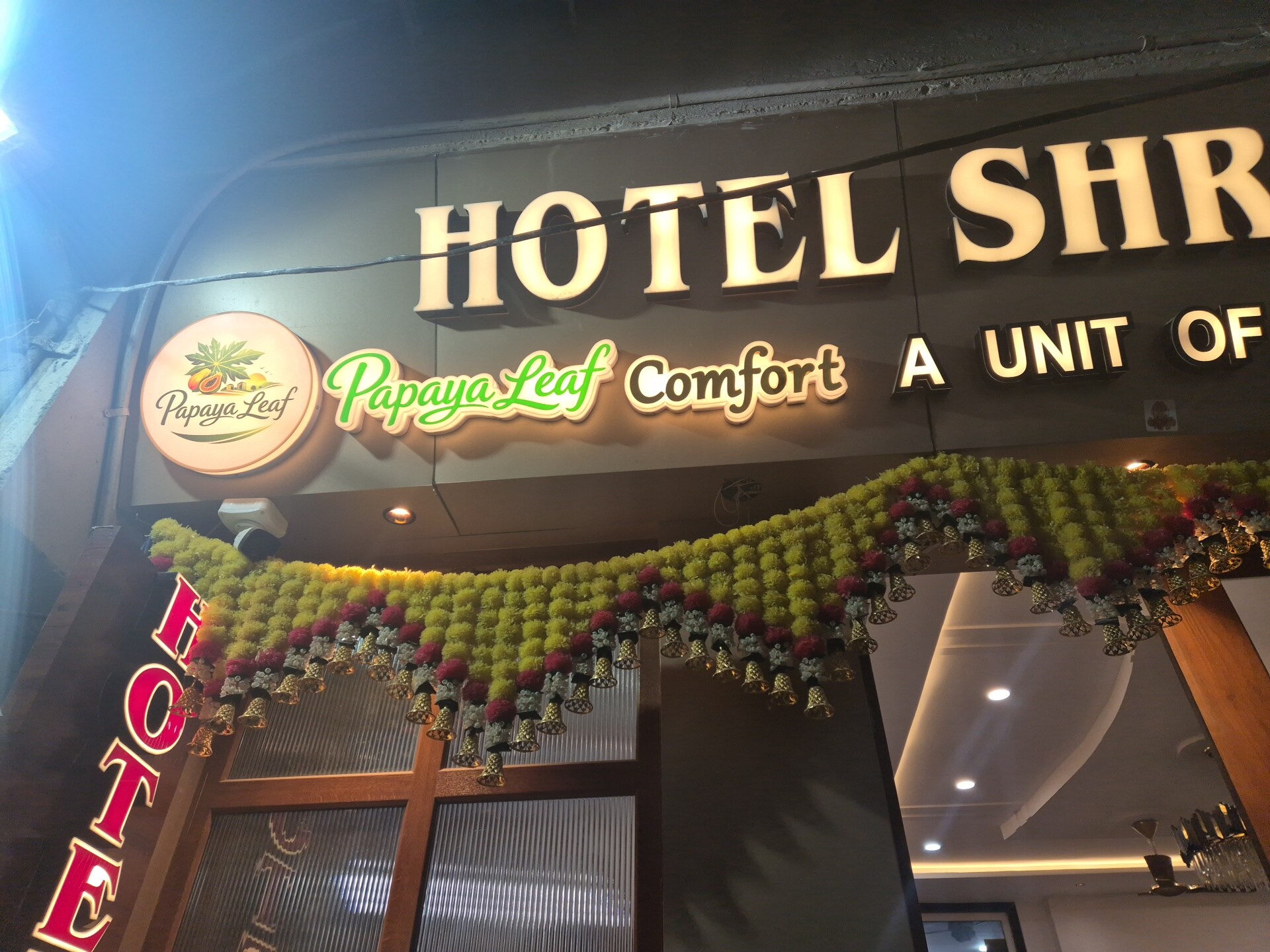 Papaya Leaf Comfort Nathdwara