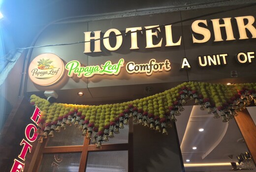 Papaya Leaf Comfort Nathdwara