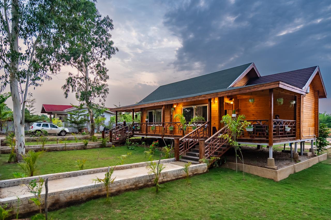Nature Nest Homestead