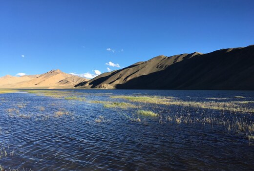 Cozinn A301 Pangong