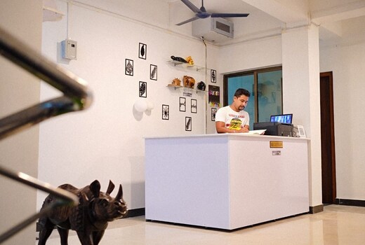 Main gallery
