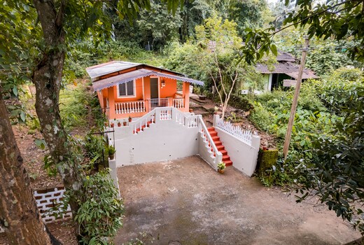 The Treehouse