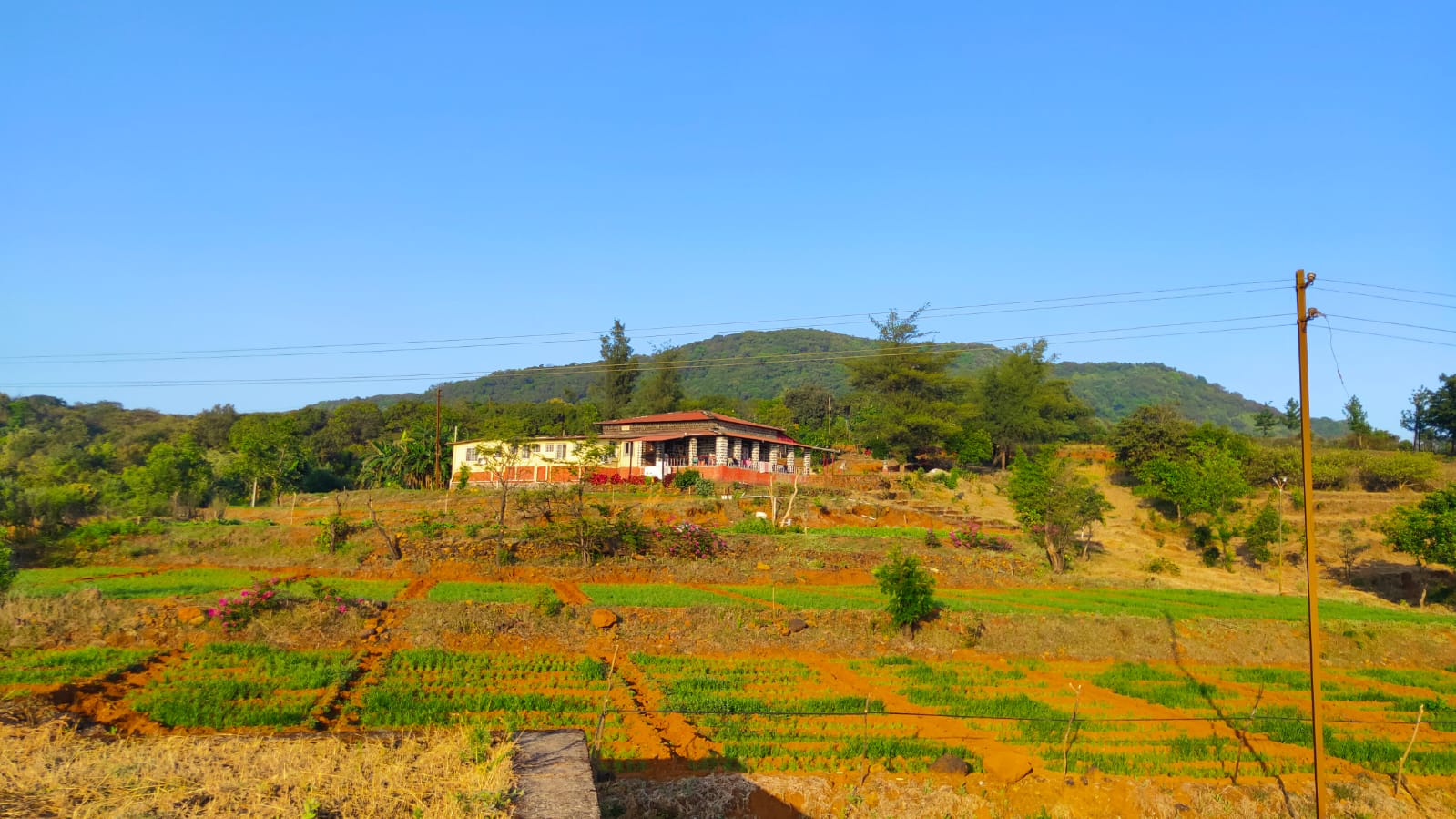 Matru Iccha Bunglow