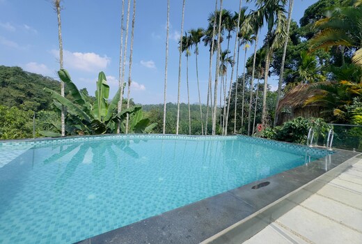 WhiteLily s Pool Retreat Kaggodlu Madikeri Coorg