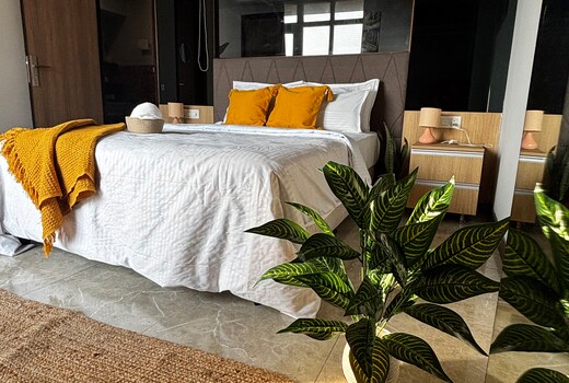 Ivy Homestays