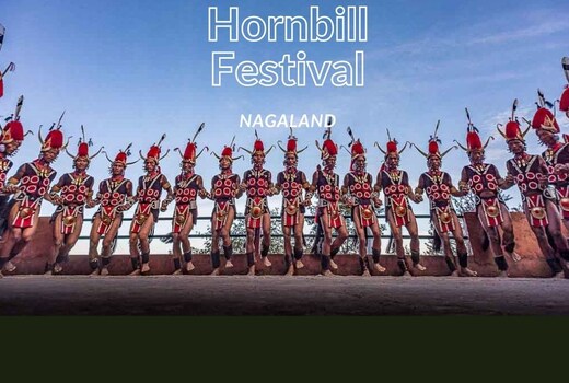 Hornbill Homes 1.0