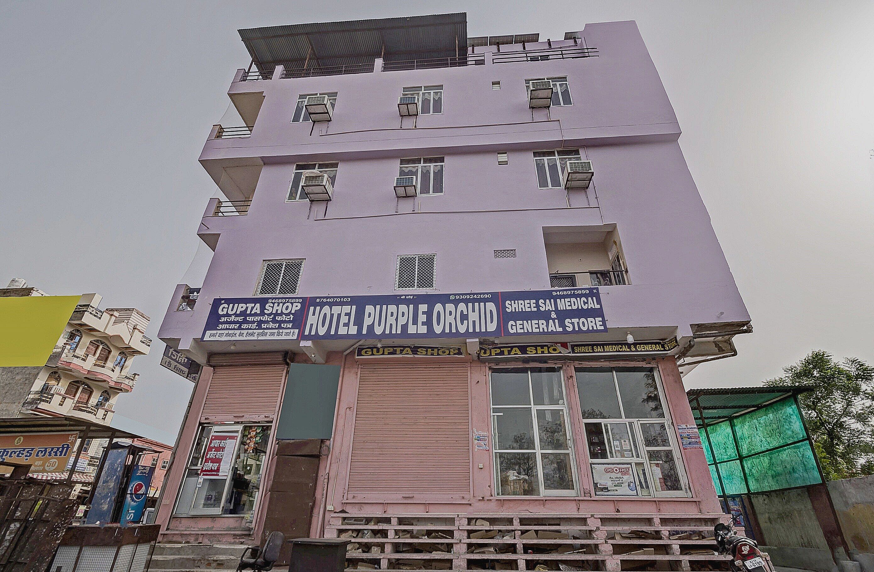 Hotel Purple Orchid