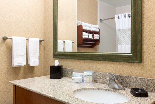 Hampton Inn Houston-Willowbrook