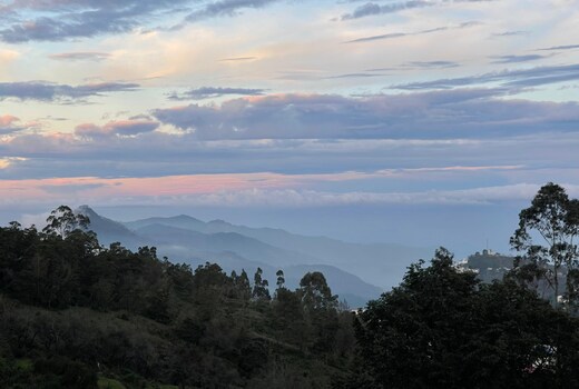 Radiant Hill Homestay