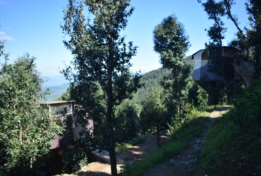 Tree casa by homeyhuts