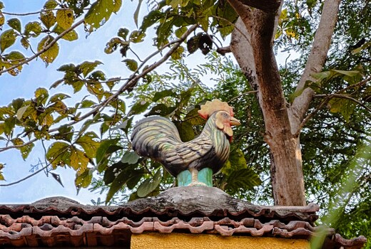 Casa Edmarelia