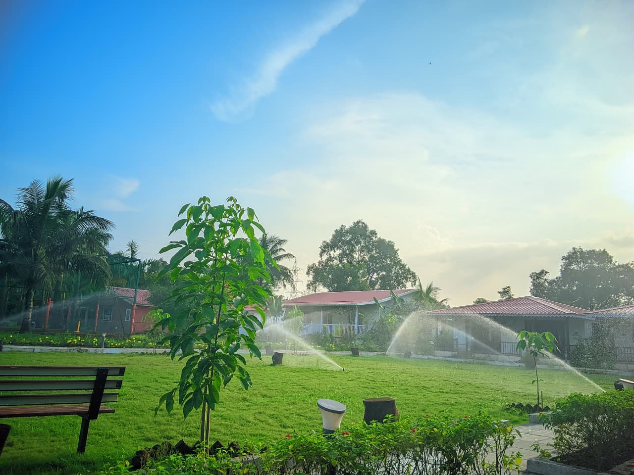 Mango Tree Farm Resort | Farm Stay