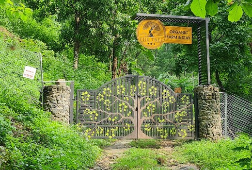 The Tree Organic Farm Stay