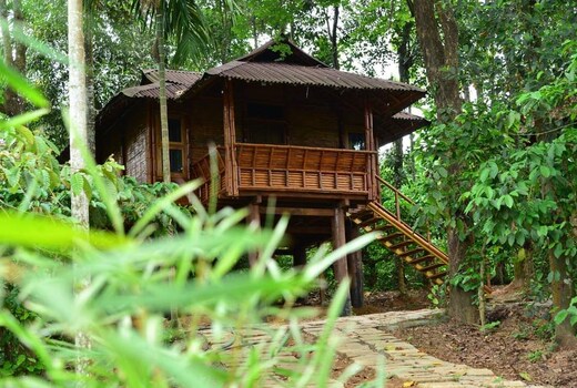 Trekking Trails