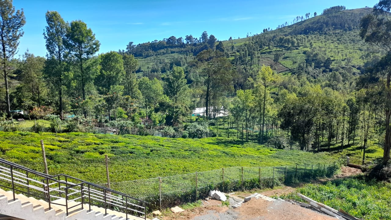 HILLCASTLERESORTS