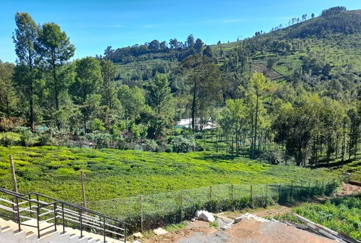 HILLCASTLERESORTS