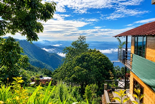 Mango Tree Inn