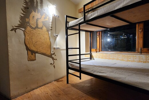 Hostelam The Mountain Story Manali