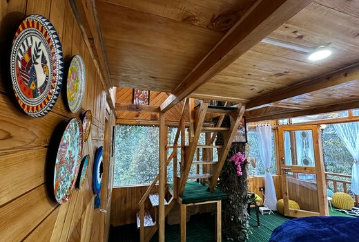 Bawli Treehouse, Jibhi