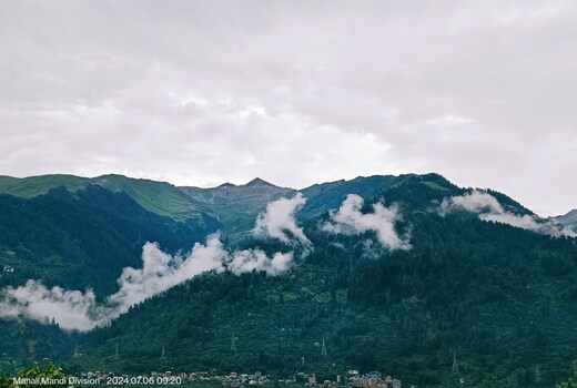 Mountain Reagle
