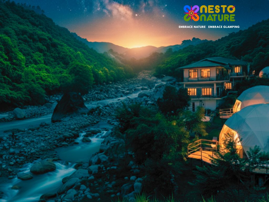 Nestonature Glamping Dharamshala