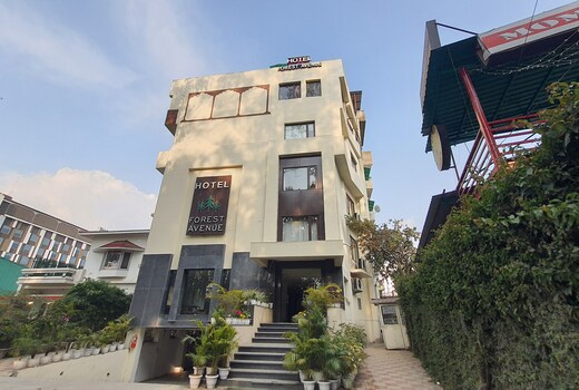 Hotel Forest Avenue | Best Luxury Hotel in Dehradun