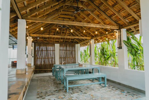 Seashells and Stories Varkala