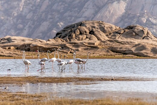 Lord's Eco Inn Jawai-Sumerpur