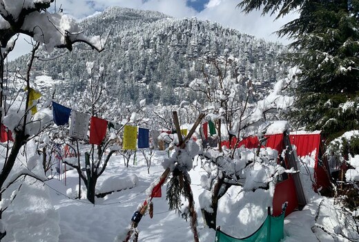 Hotel O MANALI CAMP