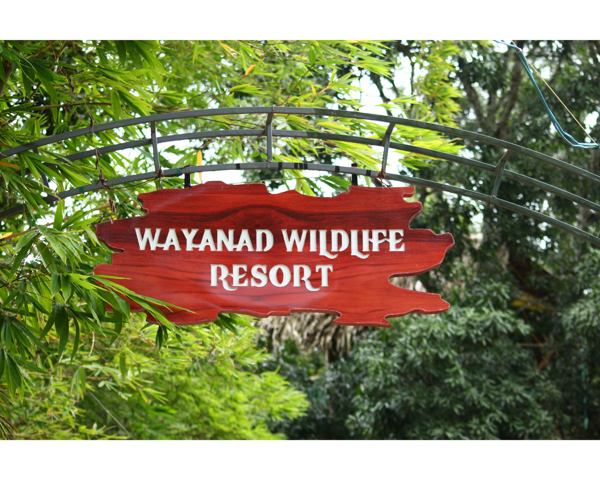 Wayanad Wild Life Resort