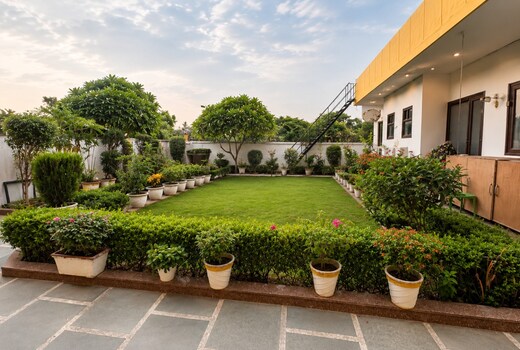 Lime Tree Studios | Huda/Fortis/Max