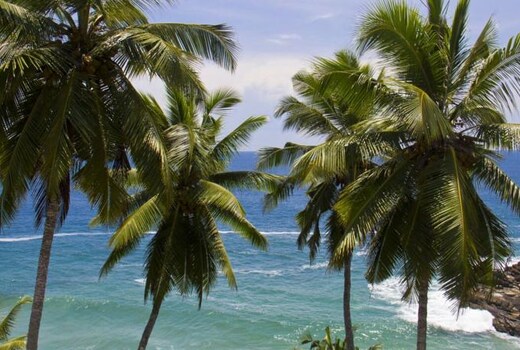 MyStays Kovalam