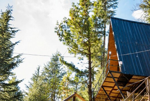 Adishanoir Hilltop Manali