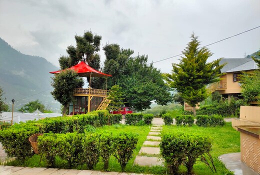 Soli-Tree Camps | Rooms & Guided Treks