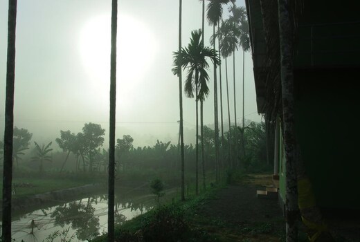 exotica holidays