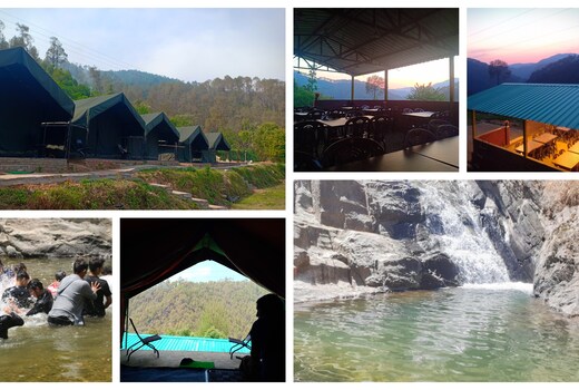 Wild Roots River Camps