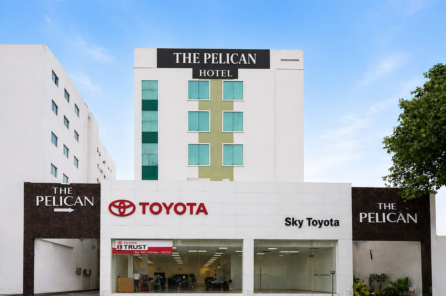 The Pelican